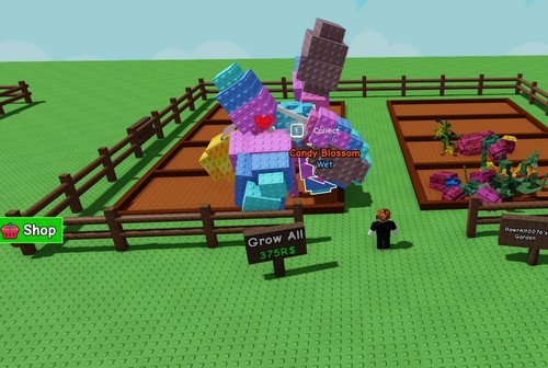 DragonFly night owl Sheckles raccoon red fox Grow a garden Roblox - Bild 26 von 47