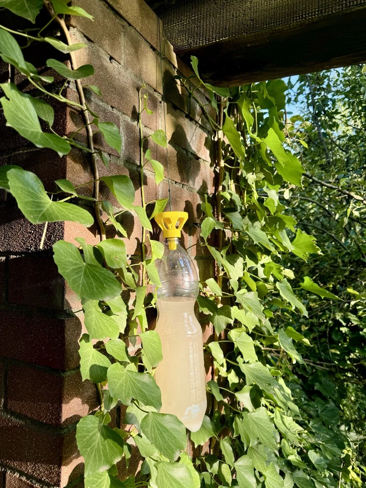 Trappola Gialla Tappo Bottiglie Acqua 3D | Zanzare Vespe Calabroni Mosche Tafani - Image 2 of 4