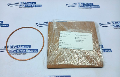 Price Pump 4710 Valve Seat Second Stage Gasket 6PCs In Lot