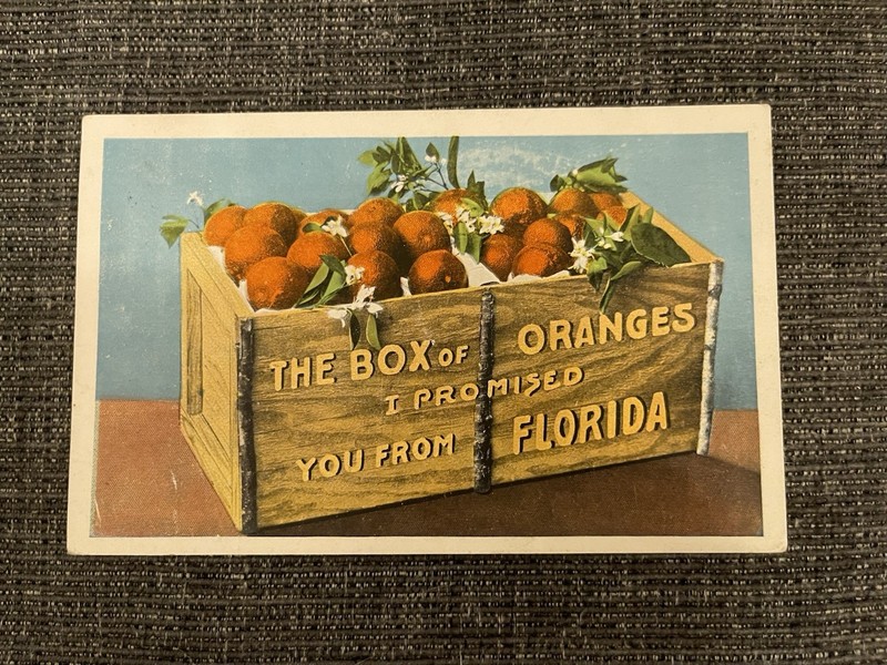 Linen Postcard Clearwater, FL~ "The Box of Oranges I Promised You From Florida"
