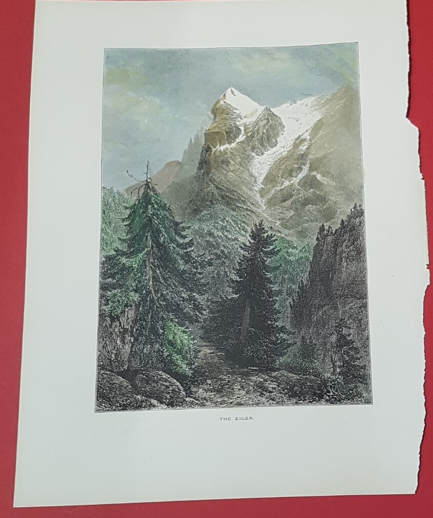 Xilografia ALPI Monte EIGER innevato acquarellata a mano 1872 B