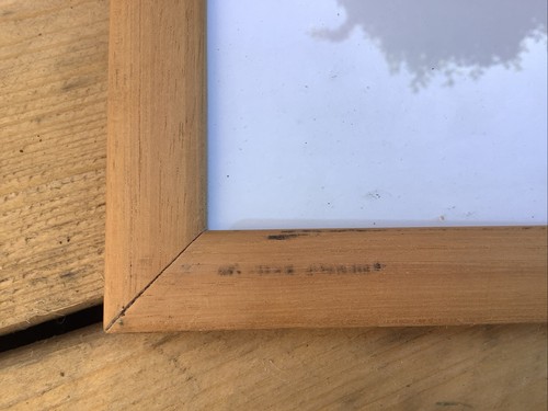 Atemberaubende Radierung Linolschnitt von Carol Walkin "urban Cat" AP funktioniert in V&A & NPG - Bild 13 von 17