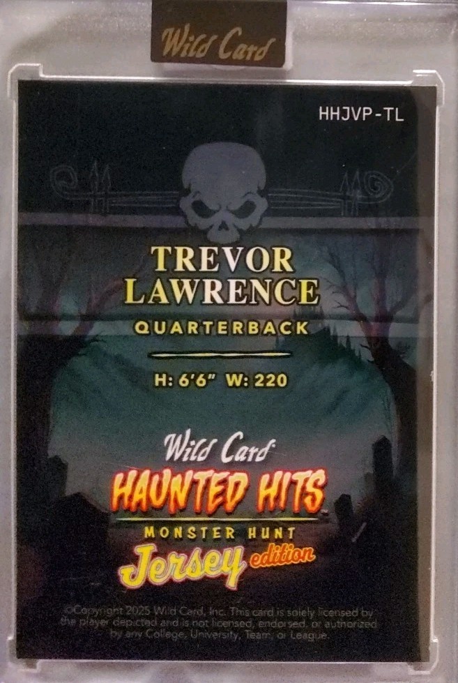 Rare ジャパレゲ　ハードマンフィデッド　LP レア COCONUTS DISK WEBSTORE / Psychedelic