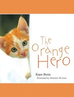 Kaye Stein | The Orange Hero | Taschenbuch | Englisch (2017) | Iuniverse