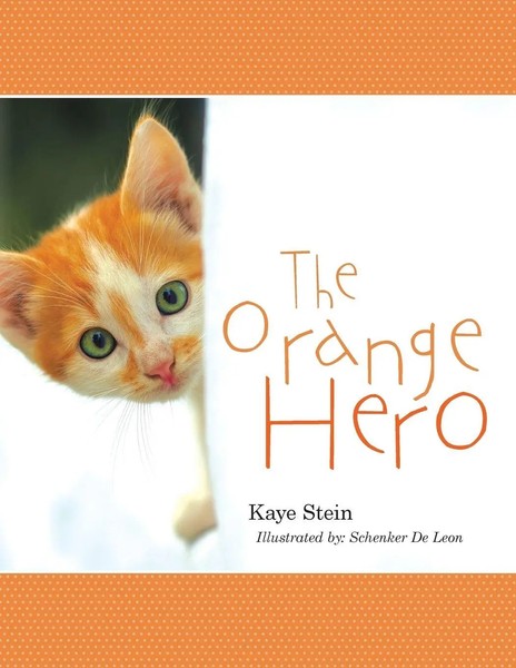Kaye Stein | The Orange Hero | Taschenbuch | Englisch (2017) | Iuniverse-image