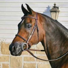 Premium Leather English Horse Bridle with Tack Set Available all Sizes