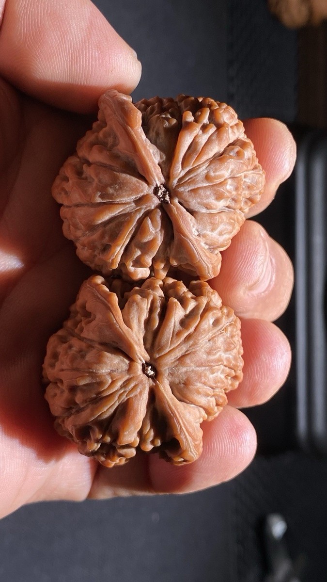 Traditional Chinese Wenwan Walnuts – Massage Balls 文玩核桃莲花虎