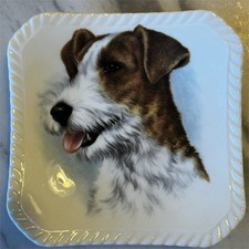 Royal Adderley England Bone China Dog Pattern Square Decorative Dish