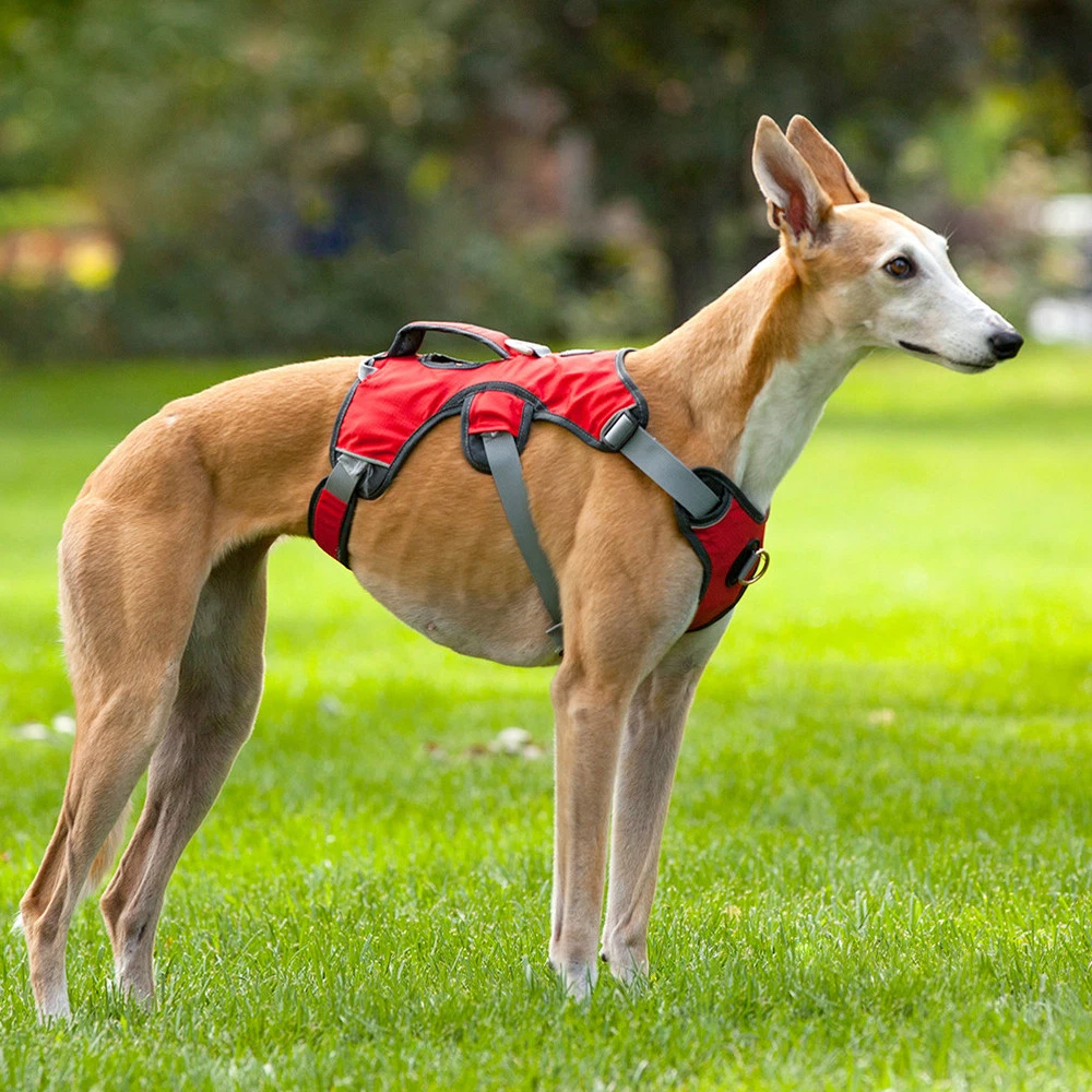 Dog Harness Reflective No Pull Quick Fit Large Dog Vest & Lift Handle Nylon Vest