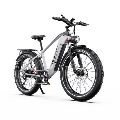 E-Mountainbike 1500W 20Ah Doppelmotor 26 Zoll Fettreifen Elektrofahrrad 7 Gange