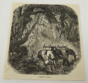 1884 magazine engraving ~ A SCENE IN INDIA - Elephants, horses, jungle