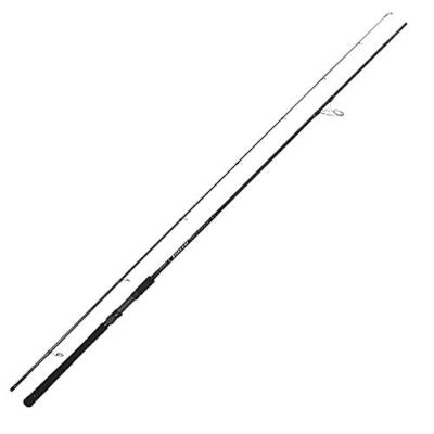 ロッド YAMAGA Blanks EARLY for surf 103M s-l400.jpg