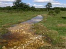 Photo 6x4 Restored stream in Howen Bottom, New Forest Fritham This is a v c2009