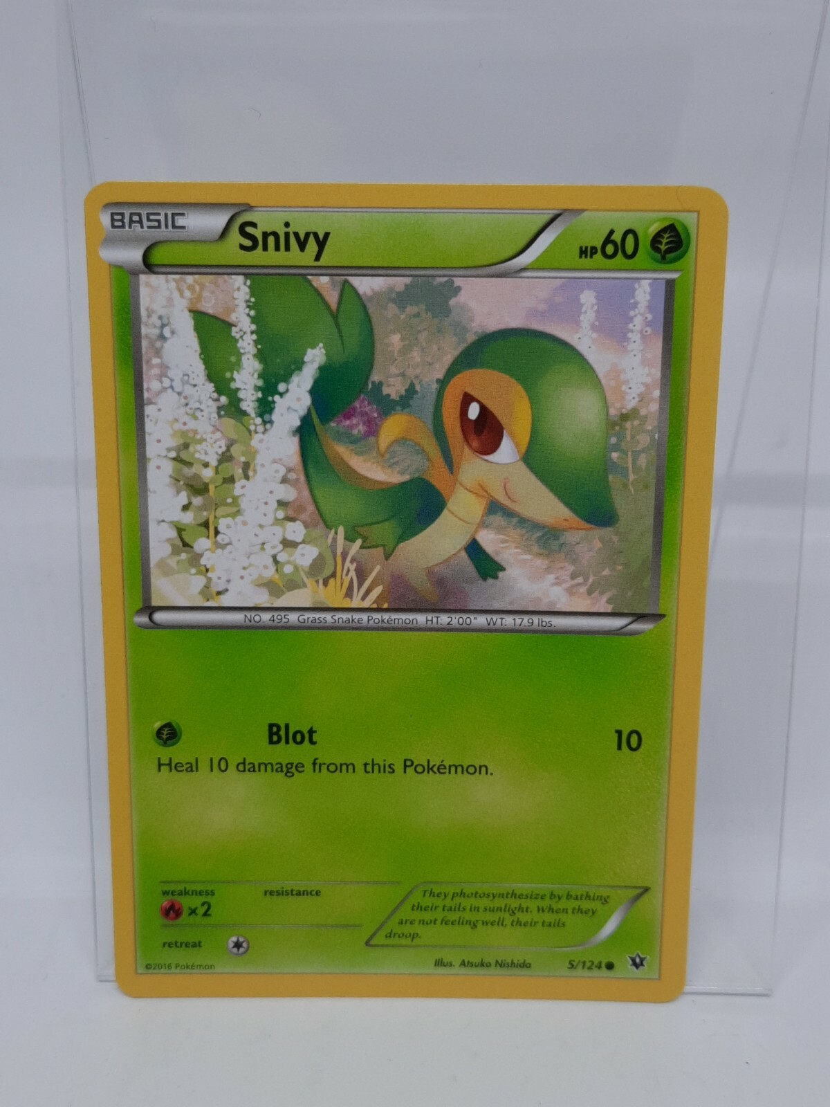 Snivy 5/124 - Common Pokemon Card - Fates Collide Set (2016) TCG