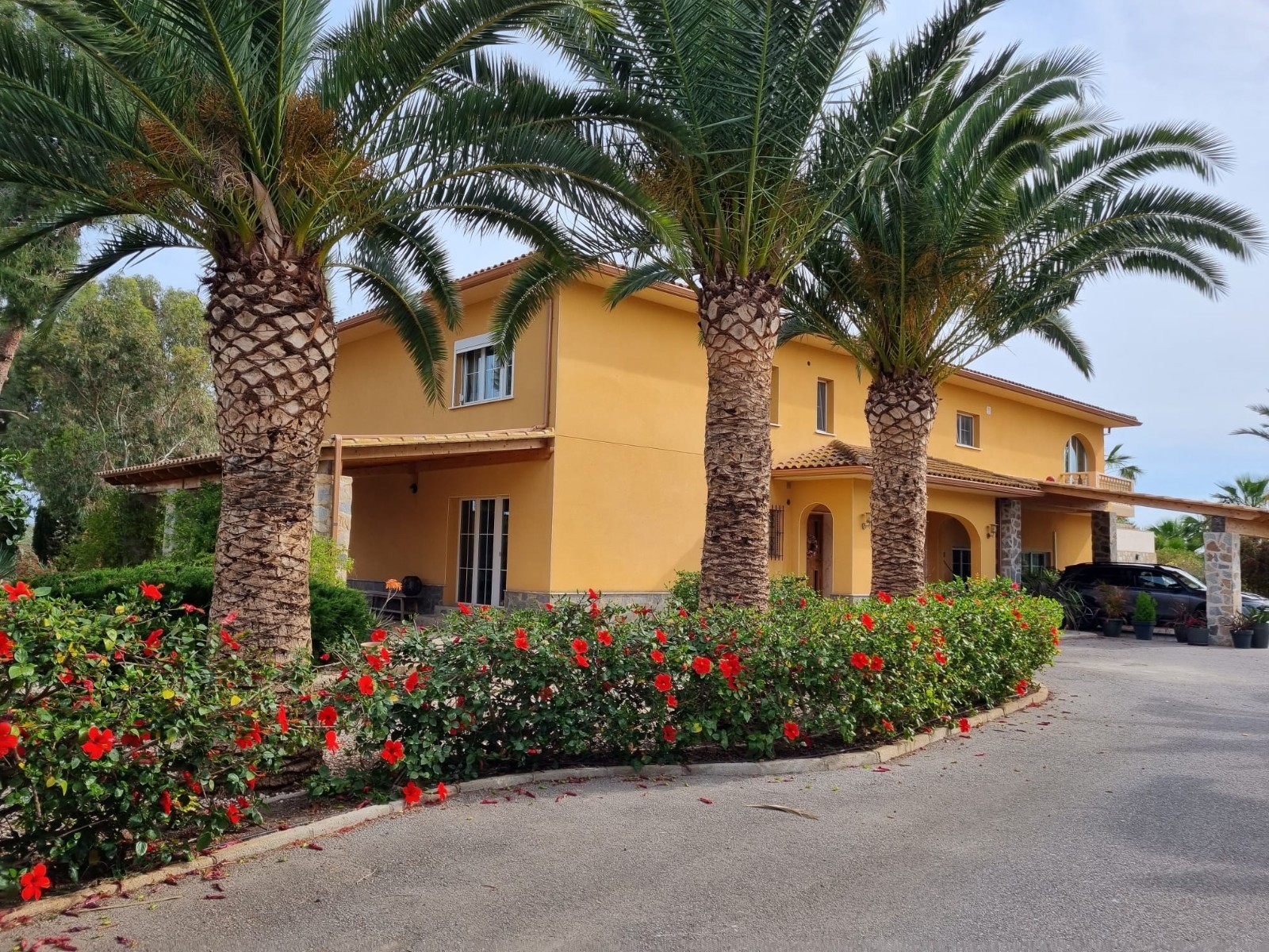 Large Luxury Apartment Suite Bed & Breakfast In Elche, Alicante