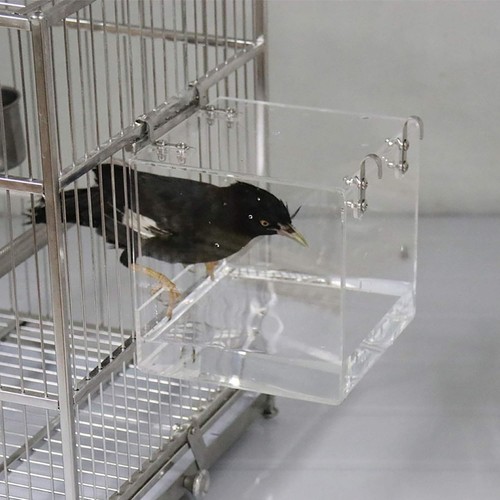 Safe Acrylic Bird Bathtub for Parrots - Easy Install - Afbeelding 7 van 9