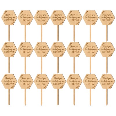  40 Pcs Holzetikett Etiketten Für Baumschulen Sämlingsbezeichnungen Baby