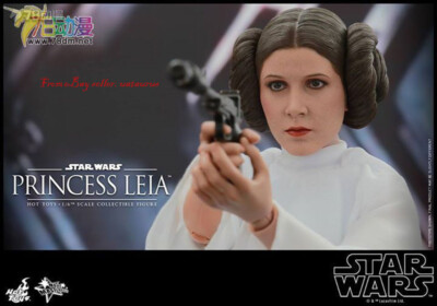 Sideshow Hot Toys MMS298 Star Wars a Hope Princess Leia Organa for