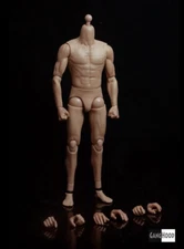 GangHood 2.0 1/6 Muscular Male Figure Body Fit HOT TOYS PHICEN Head Sculpt