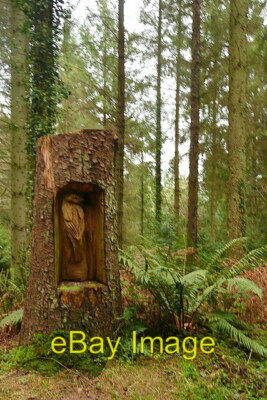 Photo 6x4 Sculpture in the forest There are some 20 different sculptures  c2011