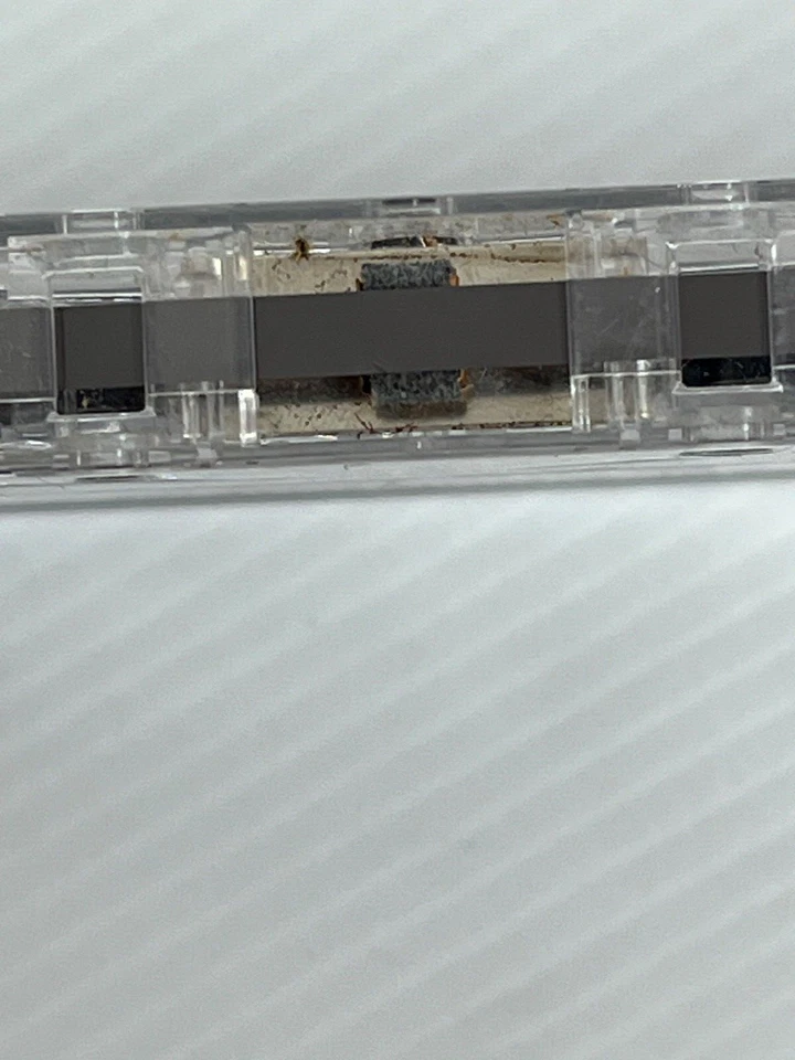 Paul Simon Graceland Music Cassette Tape 1986 No Inlay - Image 4 of 4