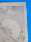 Picture 18 of 20