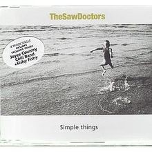 Simple Things von Saw Doctors | CD | Zustand gut