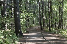 Photo:Wells Maine Rachel Carson NWR Woodland Trail to Marshes 2017