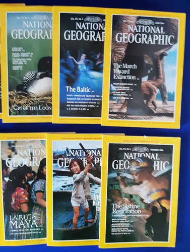 Revista National Geographic 1989 año completo número 12 conjunto con soportes de almacenamiento - Imagen 7 de 7