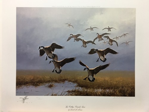 David Maass Low Ceiling Canada Geese Remarque Signed & Numbered Art Print