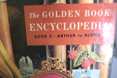 1959 Das goldene Buch Enzyklopädie Hardcover-Bücher Band 1-15 Erdferkel - Vulkane - Bild 6 von 27