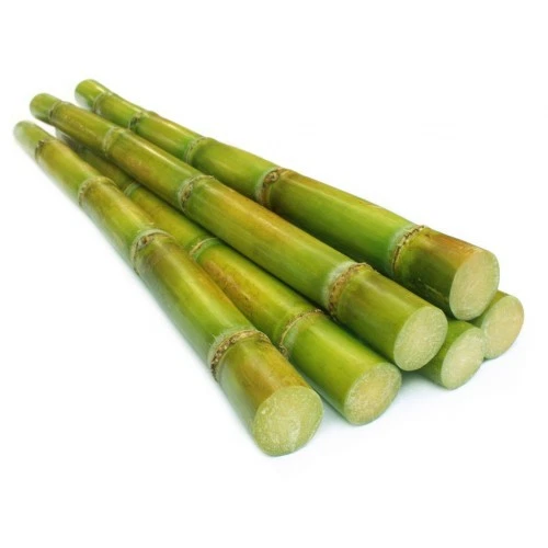 Sugar Cane Press Juicer Sugarcane Juicer Handwheel Manual Stainless Steel Heavy - Picture 15 of 16