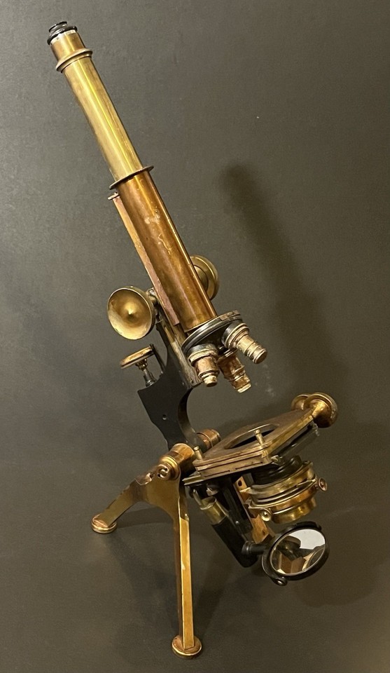 An 1900 Watson & Sons full brass microscope with original objective lenses — the kind of heirloom scientific instrument that stops people mid-conversation.