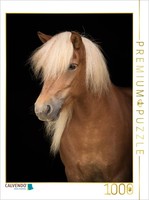 Calvendo Puzzle Island Pferd | 1000 Teile Lege-GrößE 64 × 48 Cm Foto-Puzzle FüR