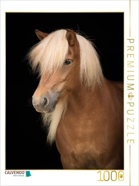 Calvendo Puzzle Island Pferd | 1000 Teile Lege-GrößE 64 × 48 Cm Foto-Puzzle FüR-image