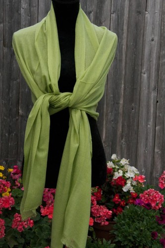 Kaschmir Schal Tuch Halstuch Pashmina Damen Einfarbig Wolle Neu Stola Klassisch - Bild 44 von 77