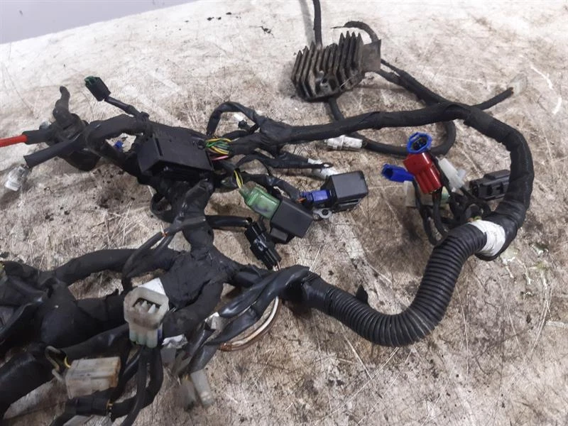 Telar de cableado, ecu, rectificador KTM DUKE 125 2017 13532 millas - 12149882 Foto 3 de 4