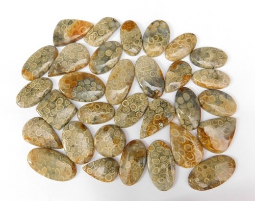 blue Fossil Coral Natural Cabochon, Fossil Coral stone Handmade Gemstone 71758 - Picture 10 of 11
