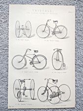 Examples of Tricycles - Antique Print - 1875