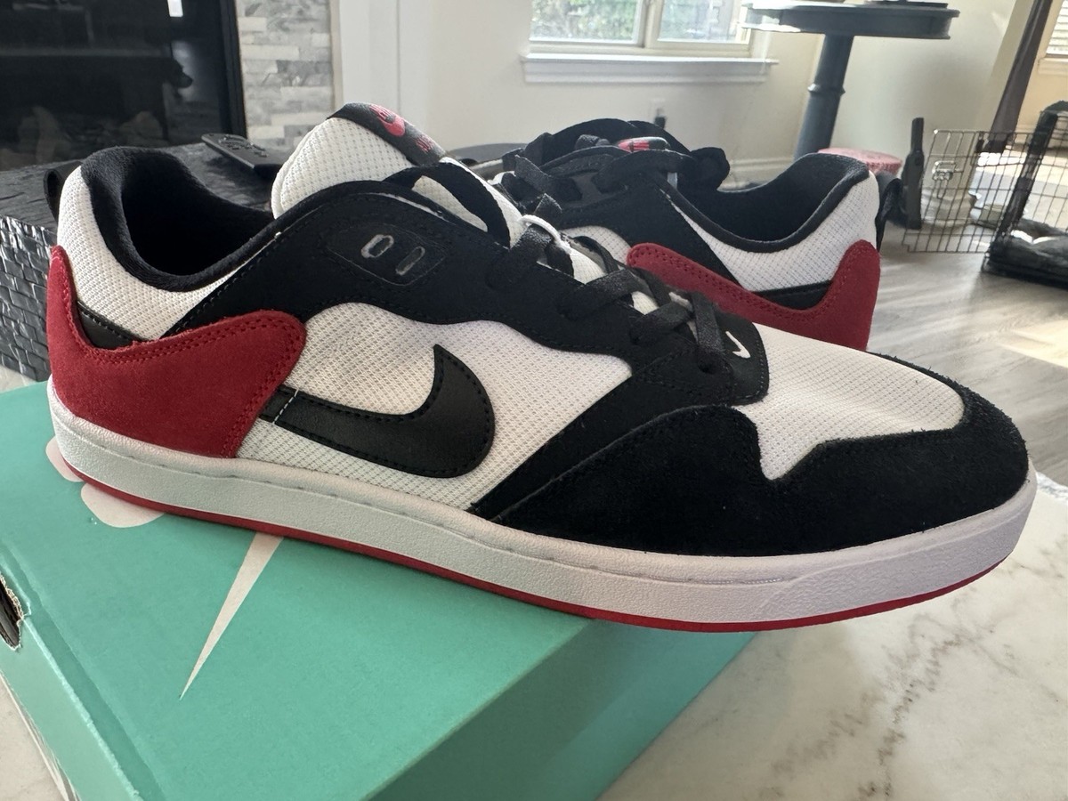 Nike SB Alleyoop Men