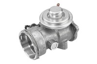 BorgWarner Agr-Ventil 7451D FüR Seat Skoda VW