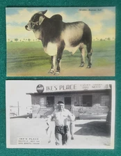 Vintage 2 Postcards, Ike's Place, San Benito, TX.  Brahms Bull, McAllen, Texas