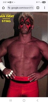WRESTLING SUPERSTARS Sting V5 DVD Muta Funk Flair Sheik Lugar Windham 