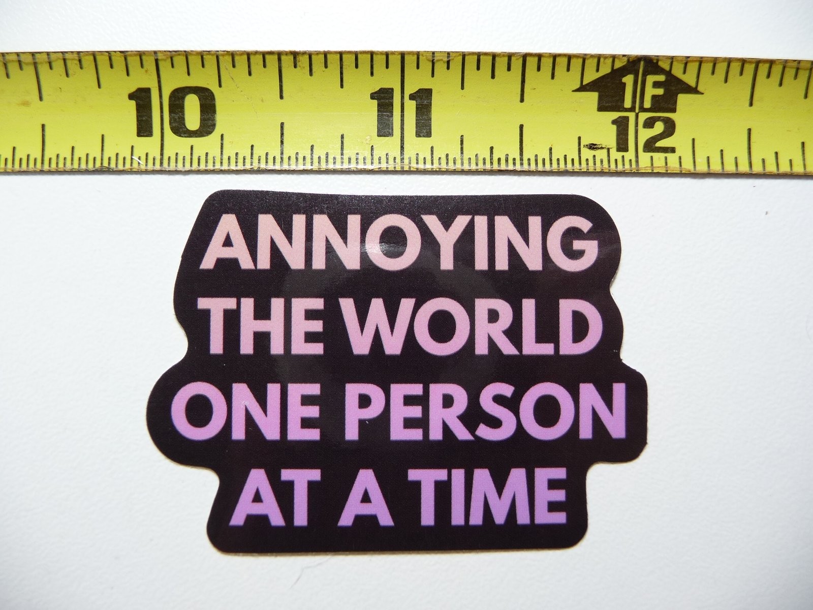 Funny Sarcastic Annoying World One Person at a Time Decal Sticker