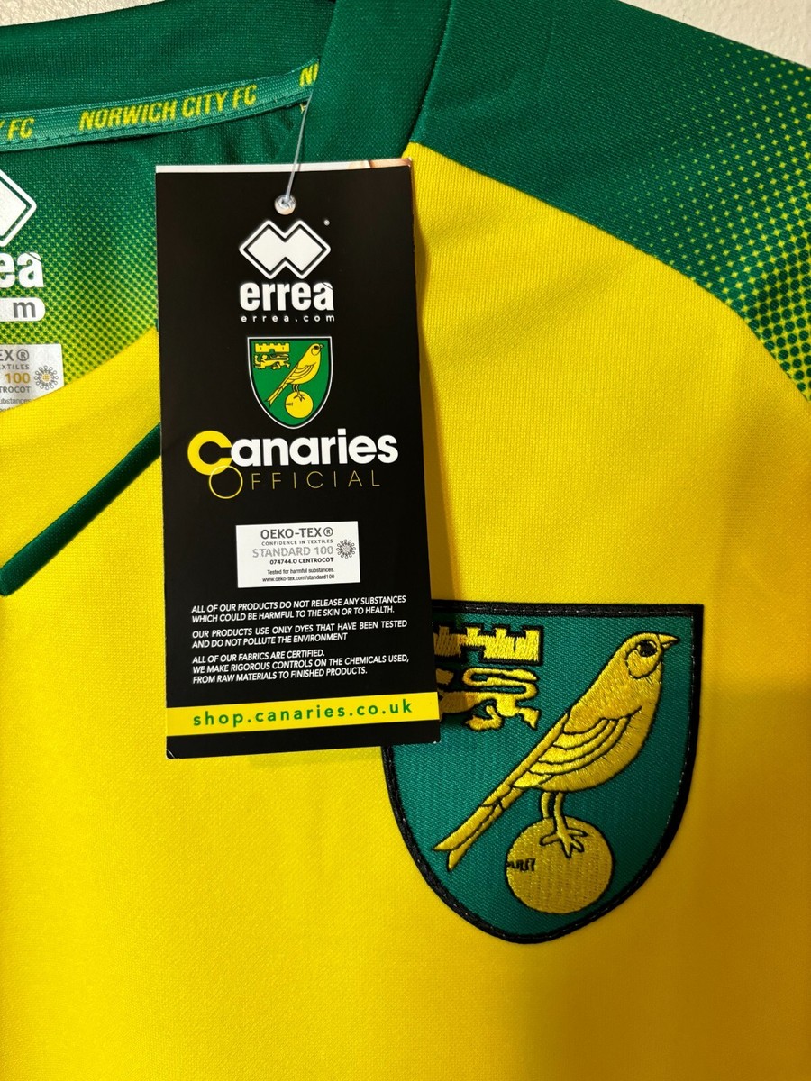 Maillot football vintage Norwich 2019-2020 Goal