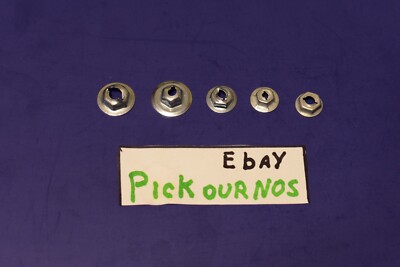 60 Pcs Emblem Script Name Plate Thread Cutting Nuts 4 Sizes 1/8 - Foto 6