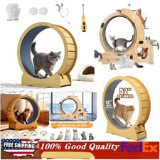 Cat Exercise Wheel 42" 52" for Indoor Cats, Safety Cat Treadmill Running Wheel