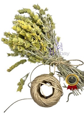 Greek Mountain Tea Whole Loose Herbal Tea 70g Sideritis Raeseri DDP (USA)