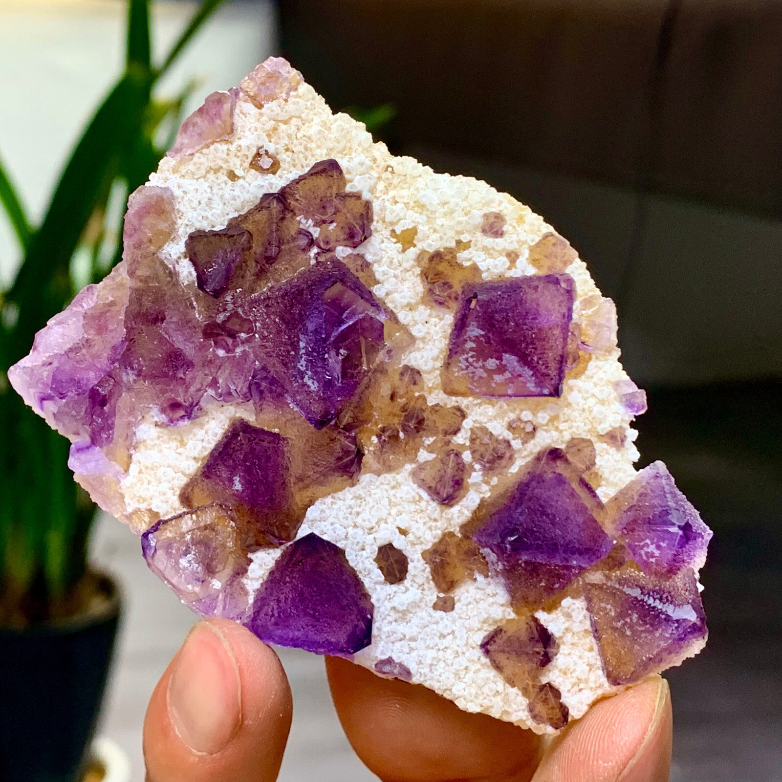 73G Stunning Transparent Purple Cubic Fluorite Crystal Specimen Mineral Sample
