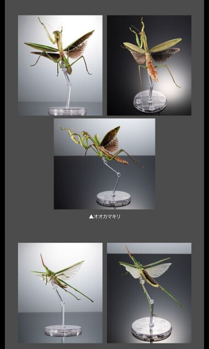 The Diversity of Life on Earth Mantis & Grasshopper w/ Wings & Stand Bandai - Picture 9 of 18